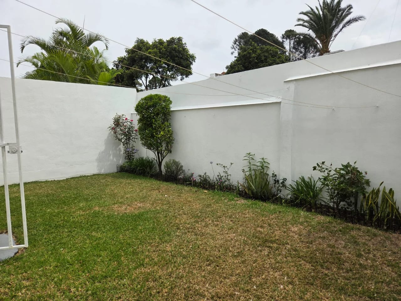 RENTO APTO Z.10 OAKLAND REF.6927 — Apartamento en Alquiler en Zona 10, Guatemala, Ciudad — foto 16 de 17
