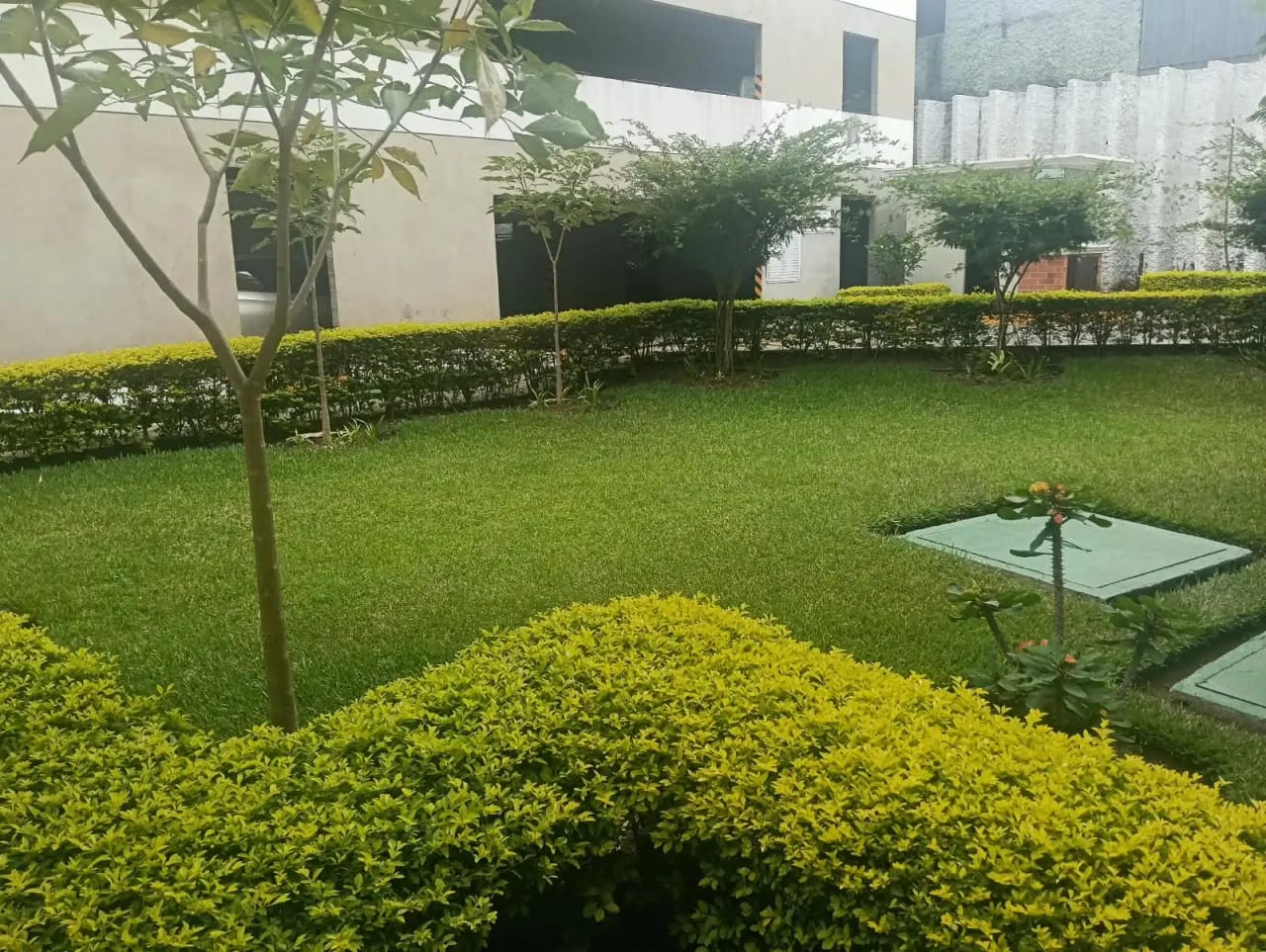 Rento Apto Zona 1, Historico 1, REF.6943 — Apartamento en Alquiler en Zona 1, Guatemala, Ciudad — foto 3 de 11