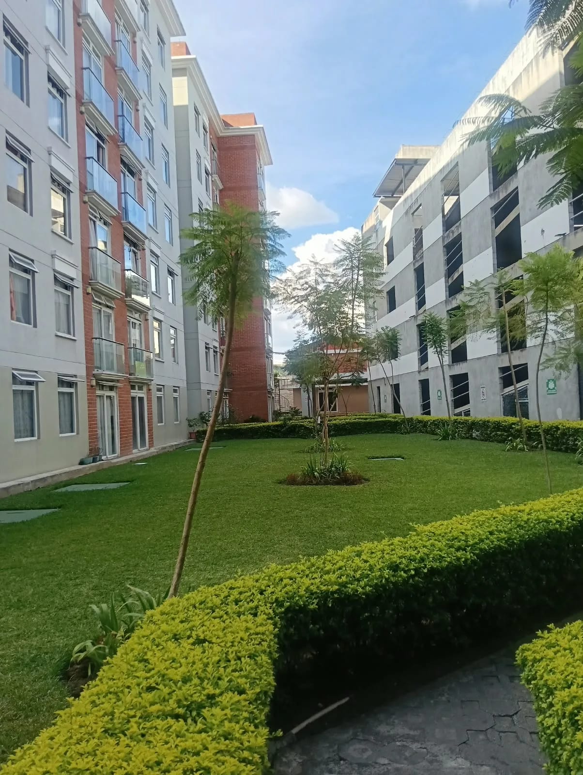 Rento Apto Zona 1, Historico 1, REF.6943 *2 Hab, Estudio, 2 Baños — Apartamento en Alquiler en Zona 1, Guatemala, Ciudad — foto 8 de 16