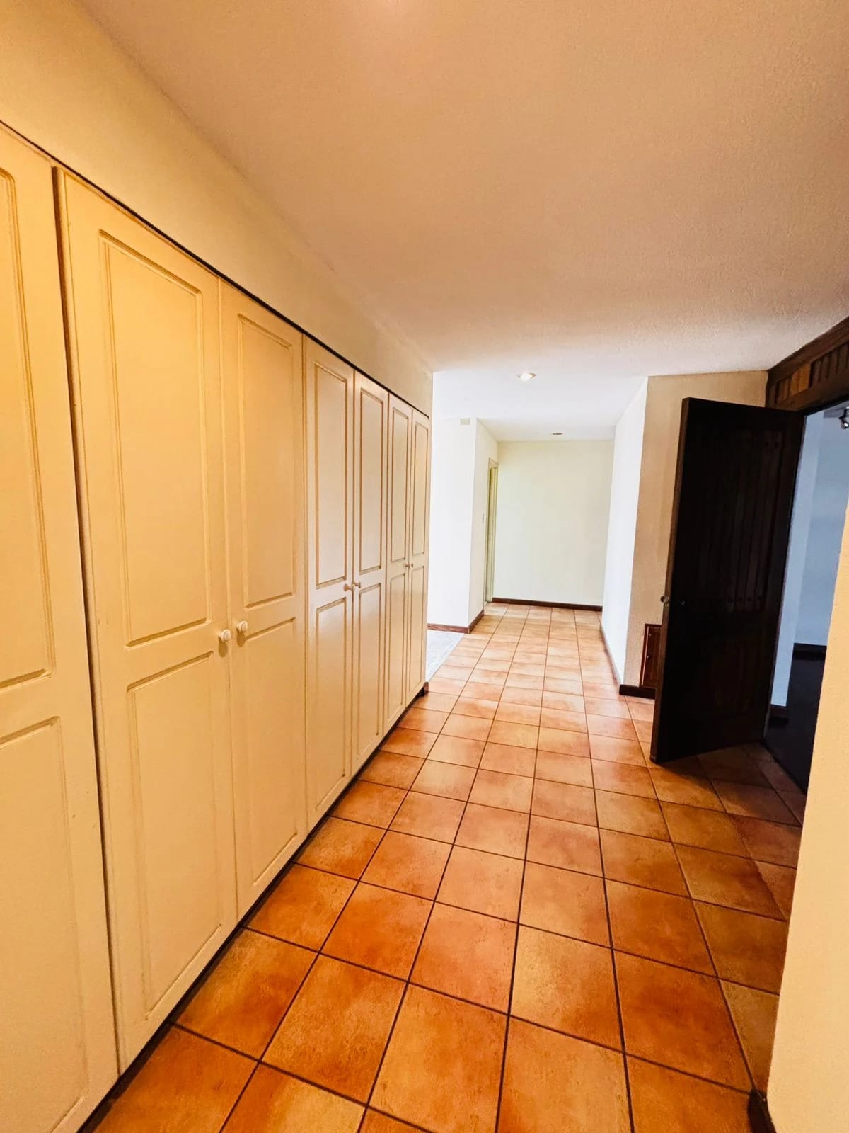 Apartamento en Avenida Reforma muy amplio ZONA 10 — Apartamento en Alquiler en Zona 10, Guatemala, Ciudad — foto 14 de 17