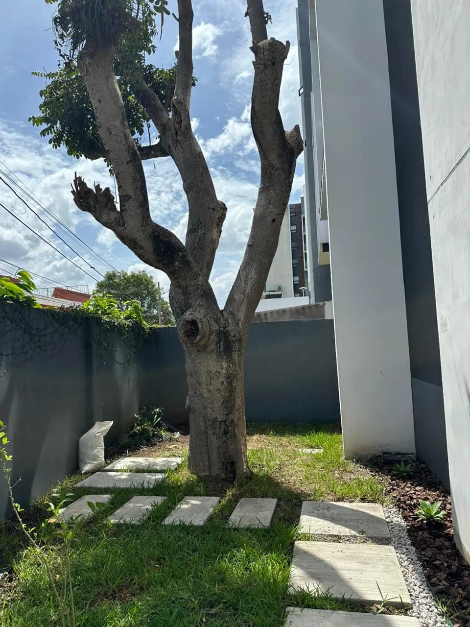 Apartamento en Renta con Área Verde - Zona 15 — Apartamento en Alquiler en Epic15, Zona 15, Guatemala, Ciudad — foto 8 de 9