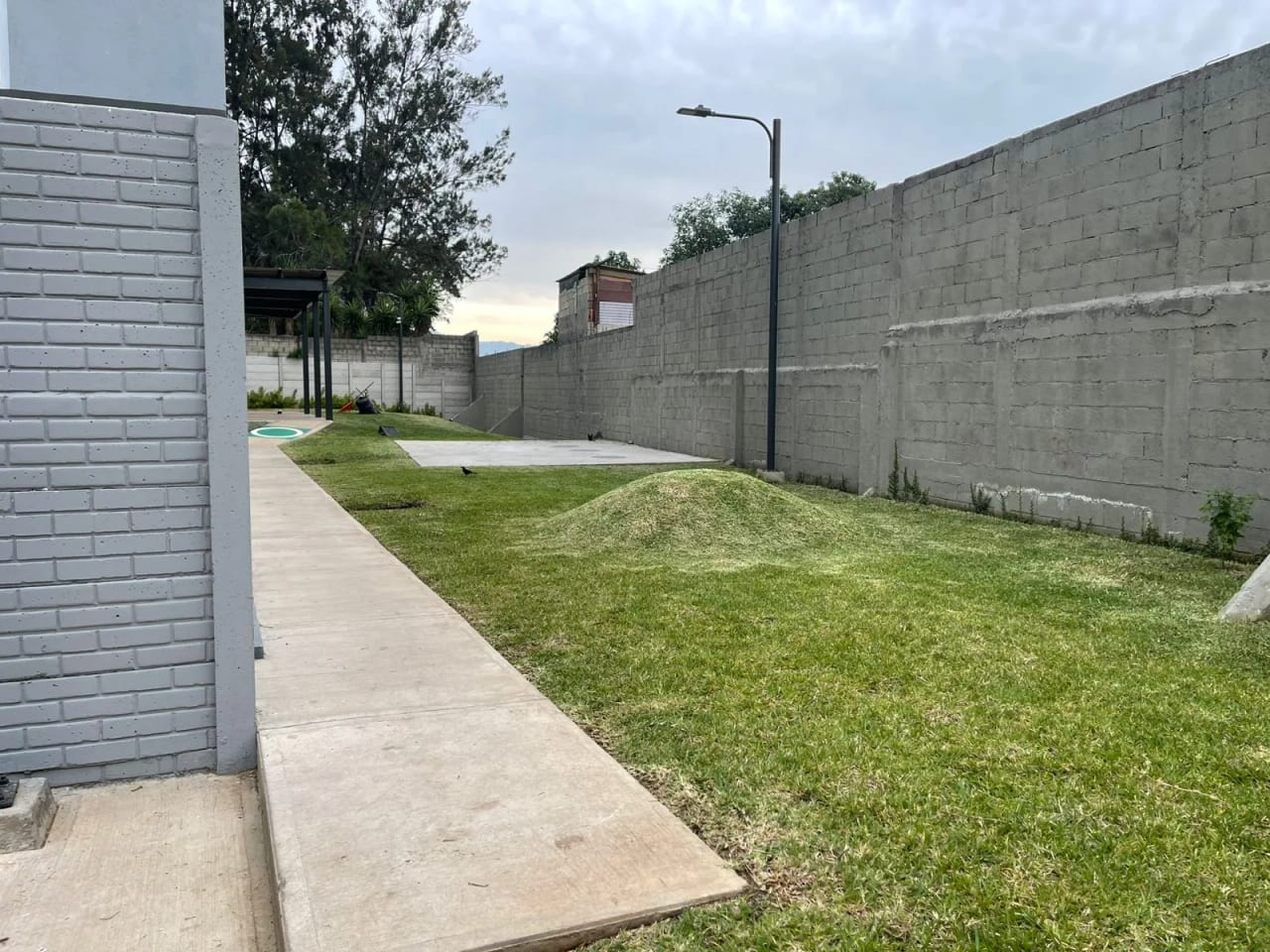 Apartamento NUEVO en LARES 17 — Apartamento en Alquiler en Centra Norte, Zona 17, Guatemala, Ciudad — foto 8 de 8
