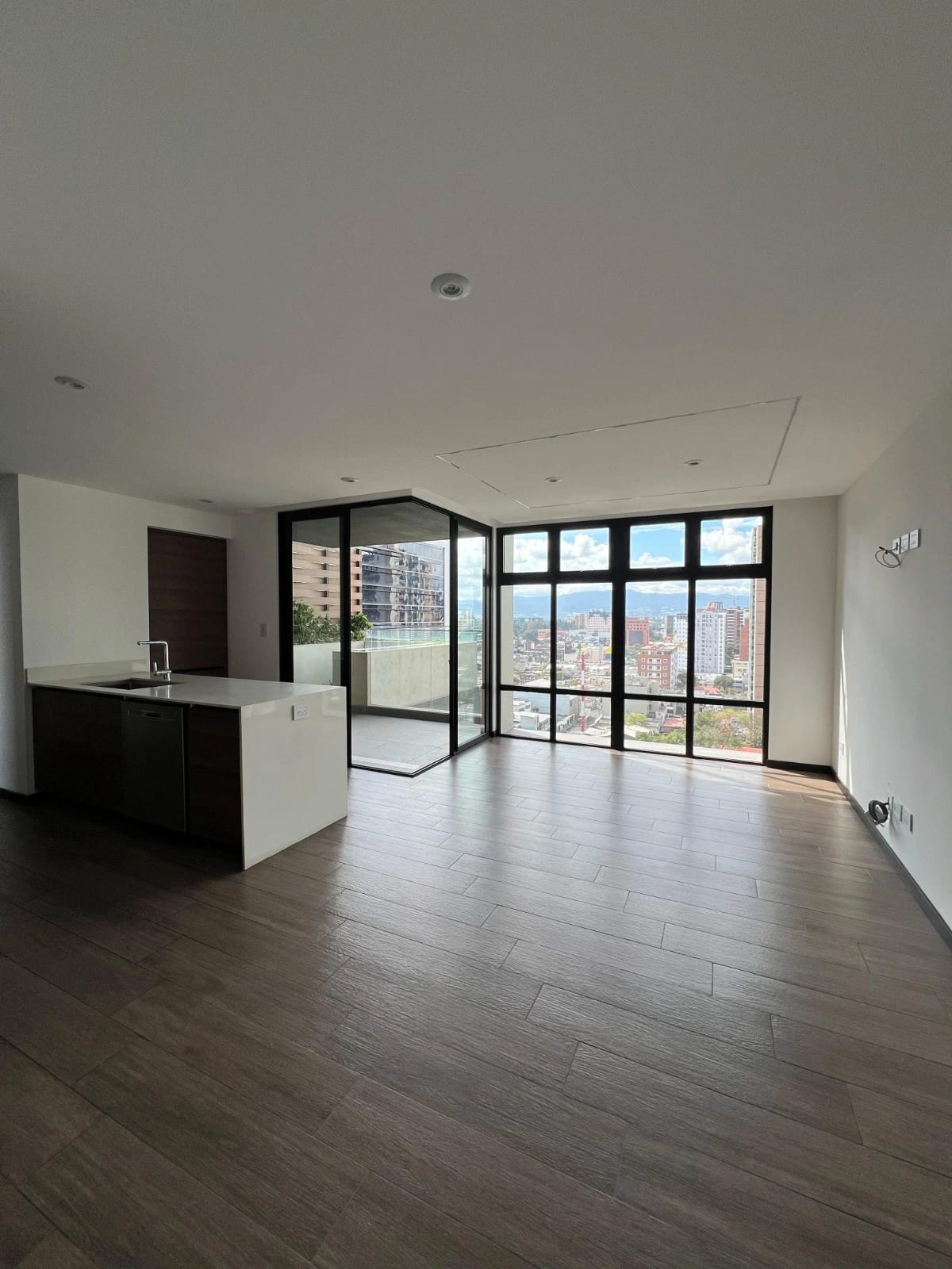 Renta y Venta de Apartamento con Jardín en IQ10 Zona 10 — Apartamento en Alquiler en IQ10, Zona 10, Guatemala, Ciudad — foto 4 de 16
