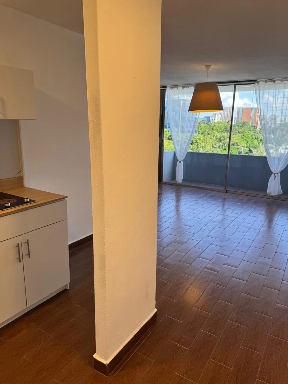 Apartamento de lujo zona 9 — Apartamento en Alquiler en Cortijo Reforma, Zona 9, Guatemala, Ciudad — foto 4 de 16