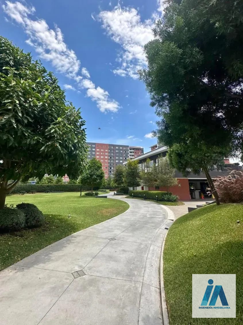 APARTAMENTOS EN ALQUILER📍 Edificio Seghería, Zona 14, La Villa — Apartamento en Alquiler en Zona 14, Guatemala, Ciudad — foto 13 de 14