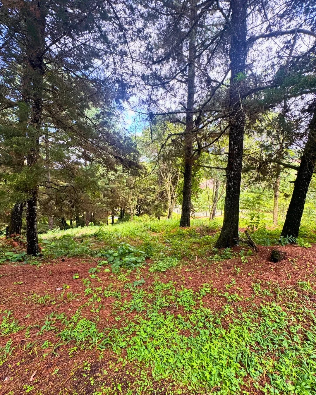 Terreno en Venta Zona 16, la Reserva - el Pulté — Apartamento en Venta en El Pulté, Zona 16, Guatemala, Ciudad — foto 3 de 10