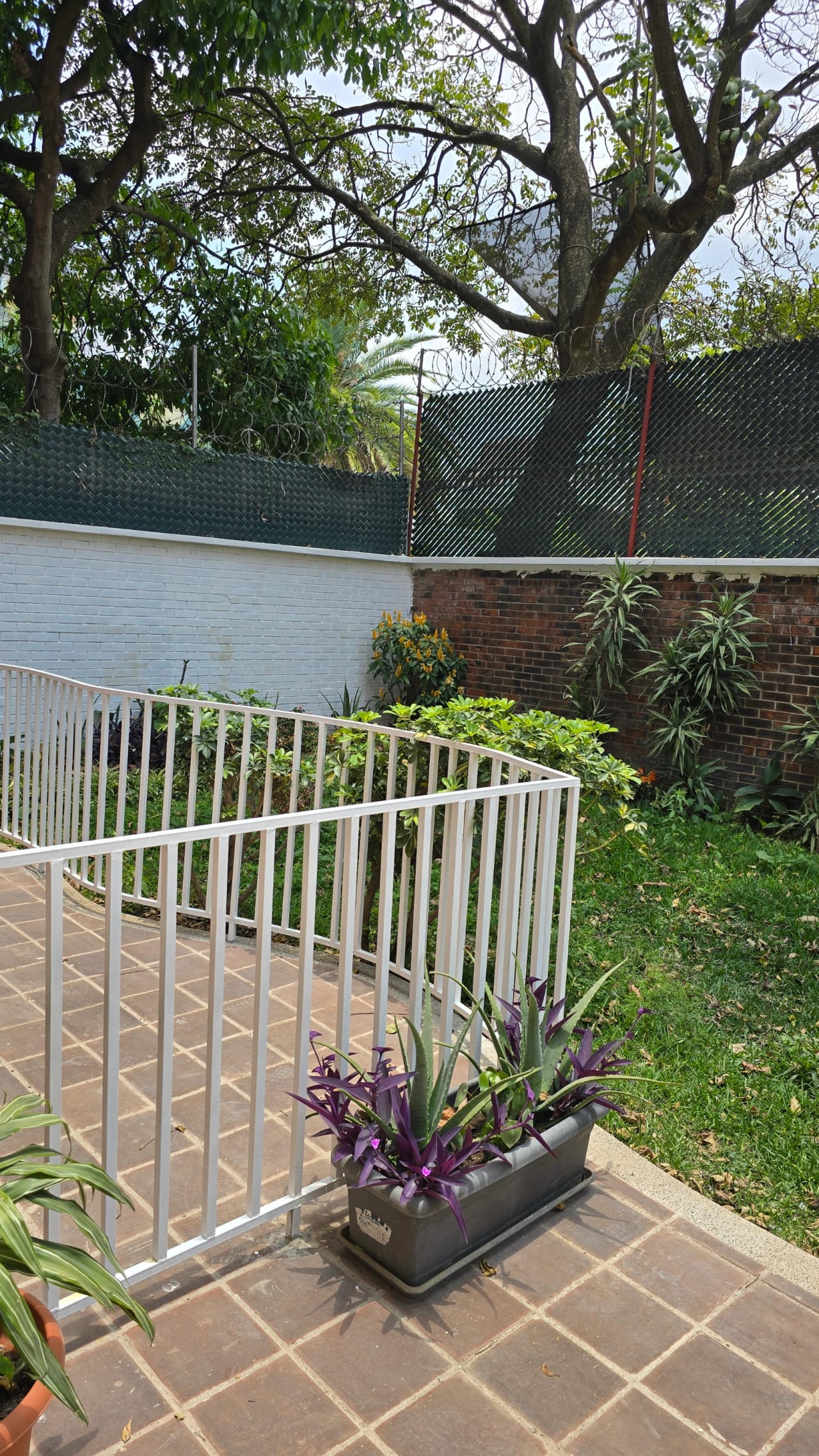 Zona 13 Alquiler de Apartamentos remodelados — Apartamento en Alquiler en Zona 13, Guatemala, Ciudad — foto 5 de 8