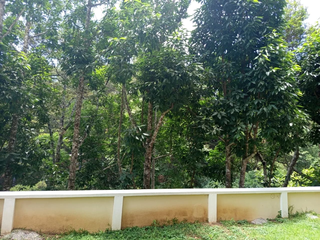 Apartamento en Renta y Venta en zona 16 Colonia La Montaña — Apartamento en Venta en Zona 16, Guatemala, Ciudad — foto 12 de 14