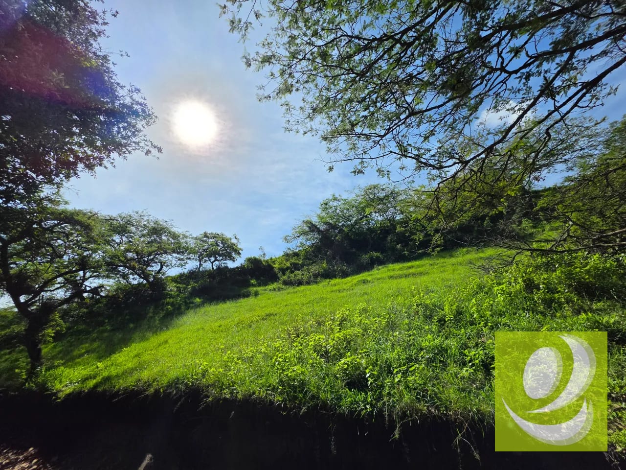 Finca en Venta Desarrolle su Próximo Gran Proyecto en Huehuetenango — Apartamento en Venta en Huehuetenango, Huehuetenango — foto 4 de 5