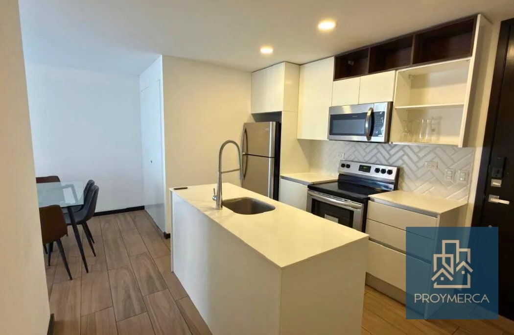 Apartamento amueblado en alquiler, Edificio Cassia, Zona 15 VH1 - 4