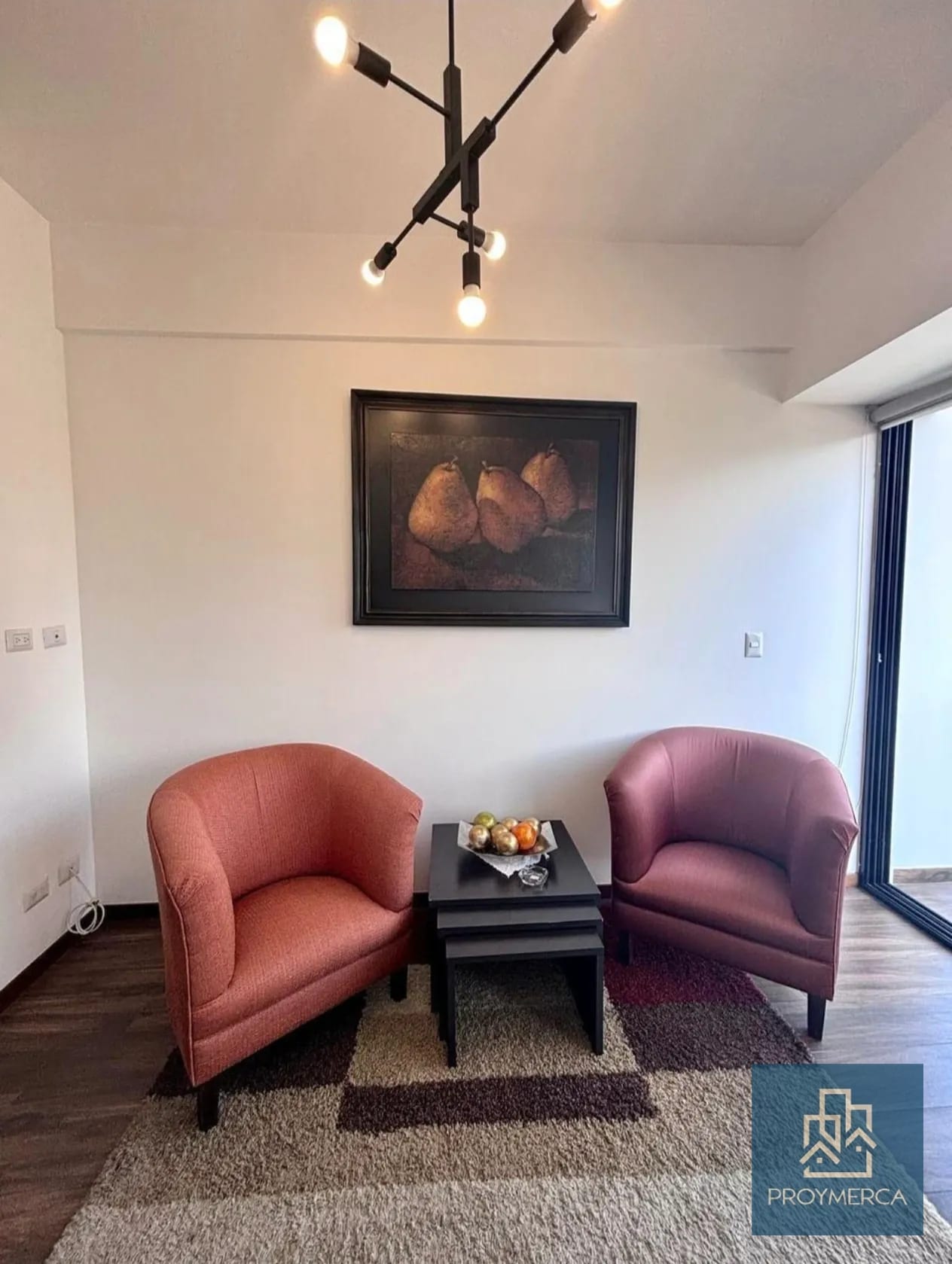 Apartamento Amueblado en Venta zona 10 — Apartamento en Venta en Casa Clara, Zona 10, Guatemala, Ciudad — foto 4 de 13