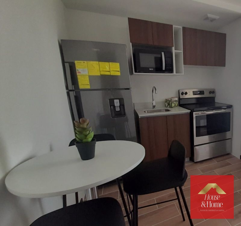 ZONA 4 / APARTAMENTO AMUEBLADO EN RENTA - 3