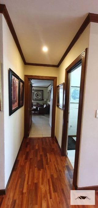 En Renta Apartamento 184MTS Amueblado Zona 10 184MTS — Apartamento en Alquiler en Zona 10, Guatemala, Ciudad — miniatura 10 de 17