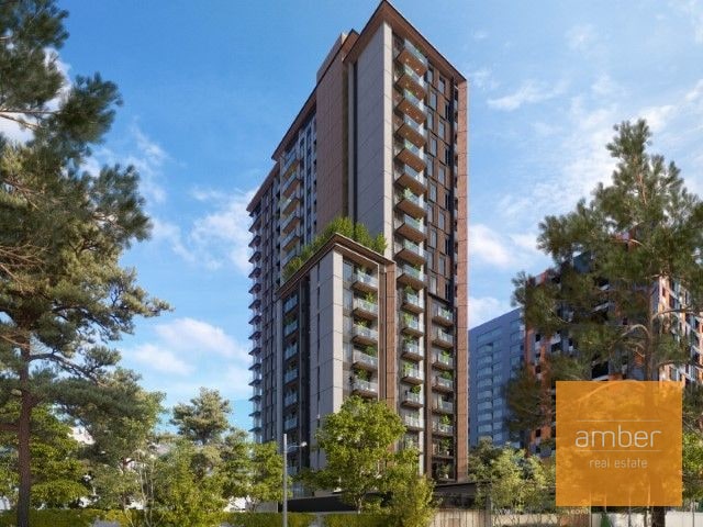 Ankori, zona 10 - 1