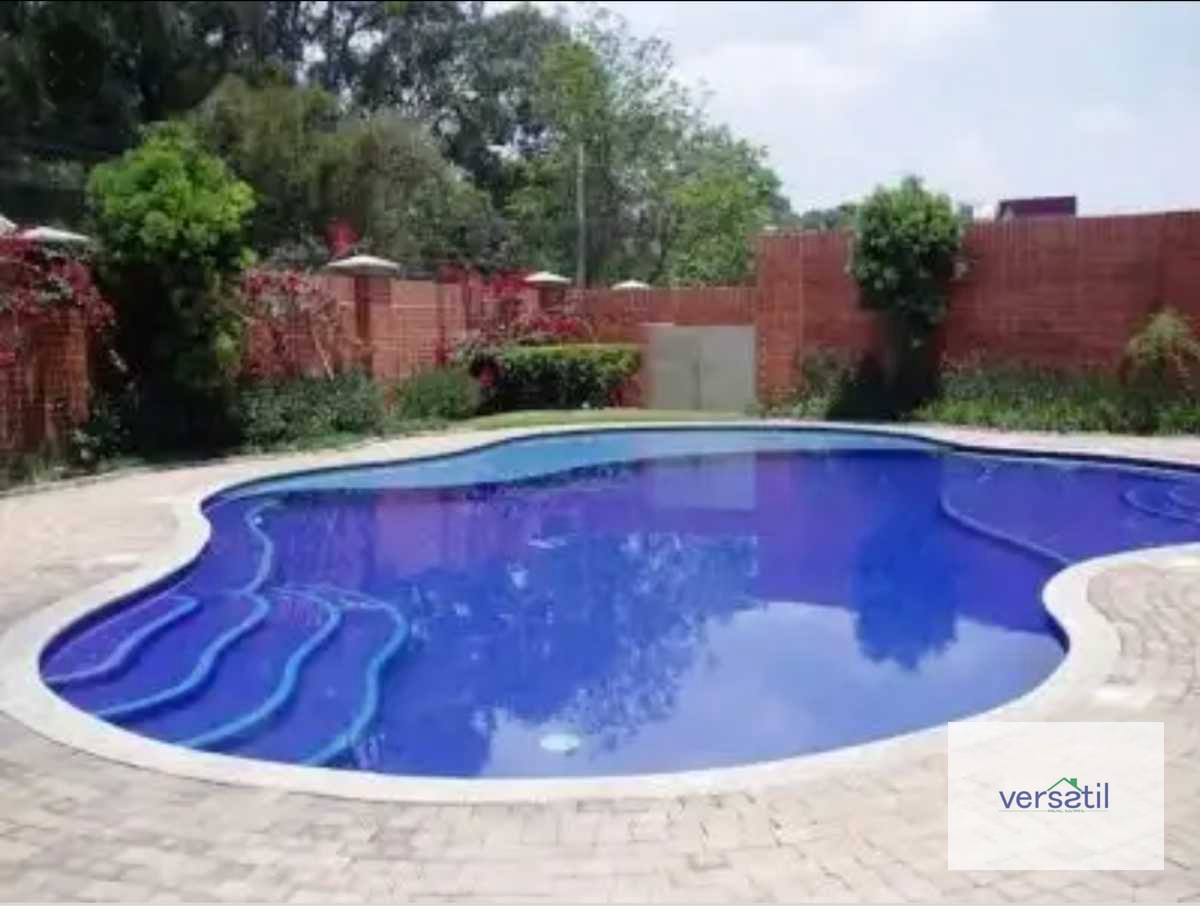 Excelente Apartamento TADEUS Alquiler - 3