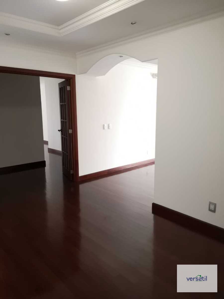 Excelente Apartamento TADEUS Alquiler - 12