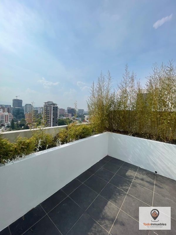 Apartamento Penthouse en Renta en Edificio Verona z10 - 10