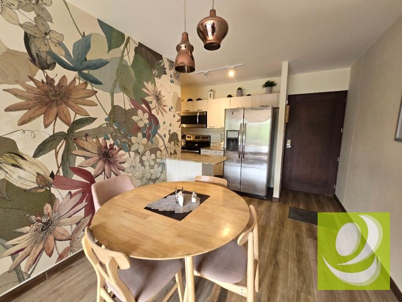 Balmes 47 Vendo Apartamento zona 11 - 1