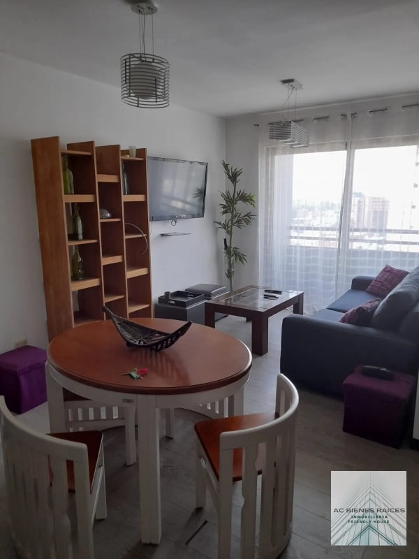 Amueblado 2 habitaciones zona 10 - 1