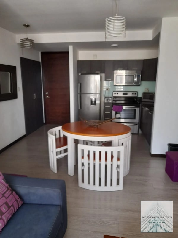 Amueblado 2 habitaciones zona 10 - 14