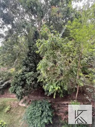 Amplio apartamento en ALQUILER en Moradas del Acueducto en zona 10 — Apartamento en Alquiler en Moradas del Acueducto, Zona 10, Guatemala, Ciudad — miniatura 8 de 15