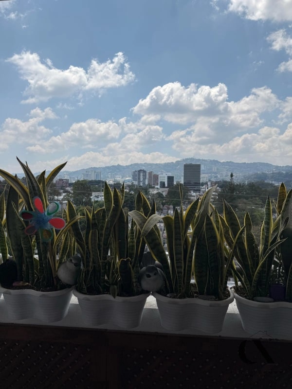 Venta de apartamento en zona 14 Segheria - 7