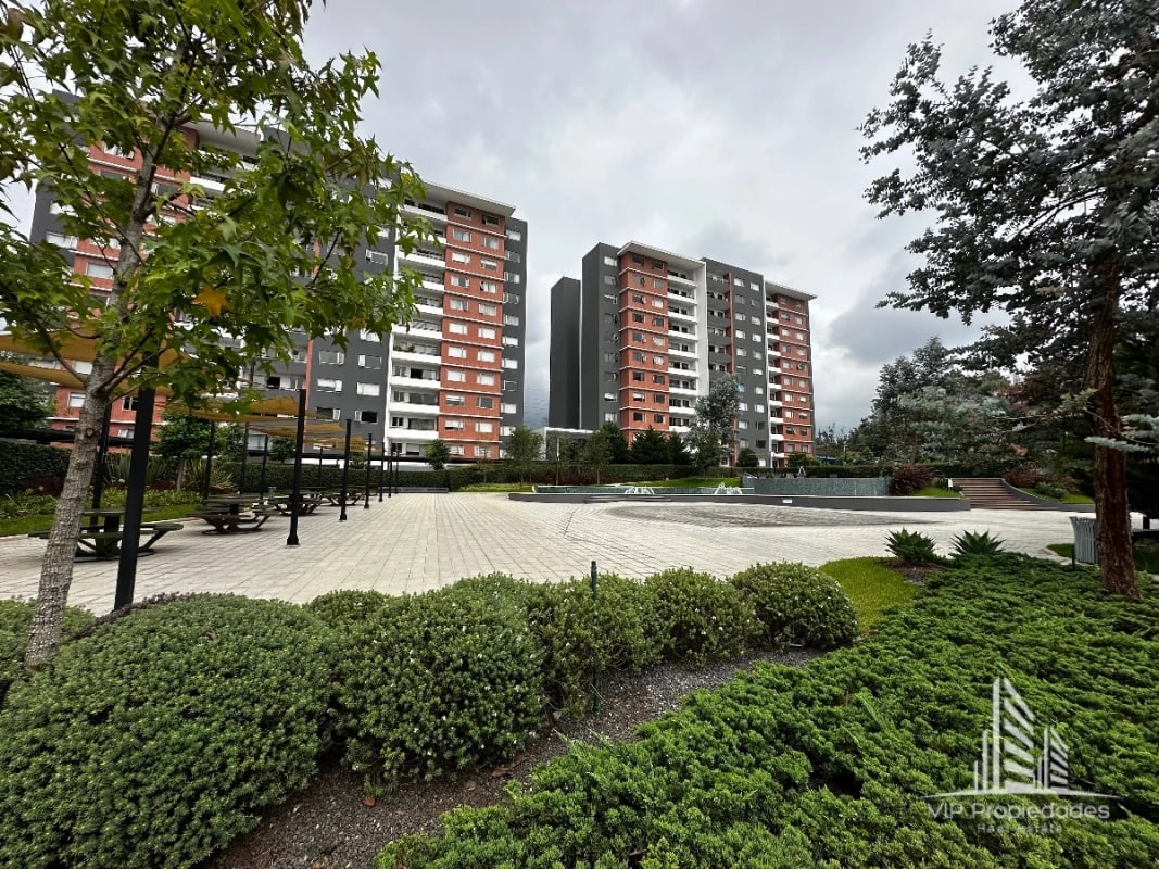 Segheria zona 14, apartamento en alquiler - 6