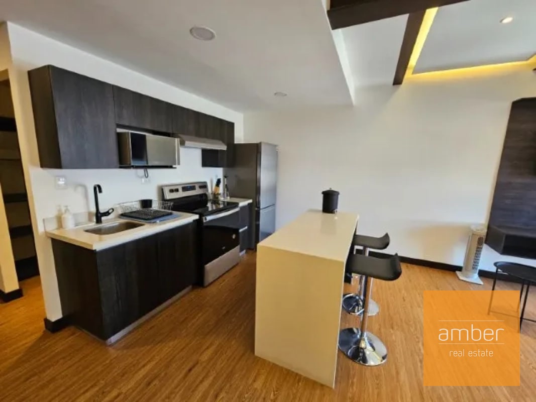 Apartamentos Amueblados Edificio Canamco, Zona 10 - 7