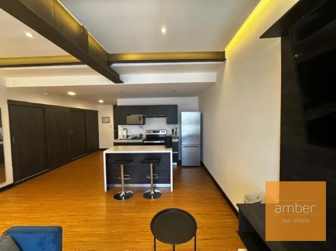 Apartamentos Amueblados Edificio Canamco, Zona 10 - 4