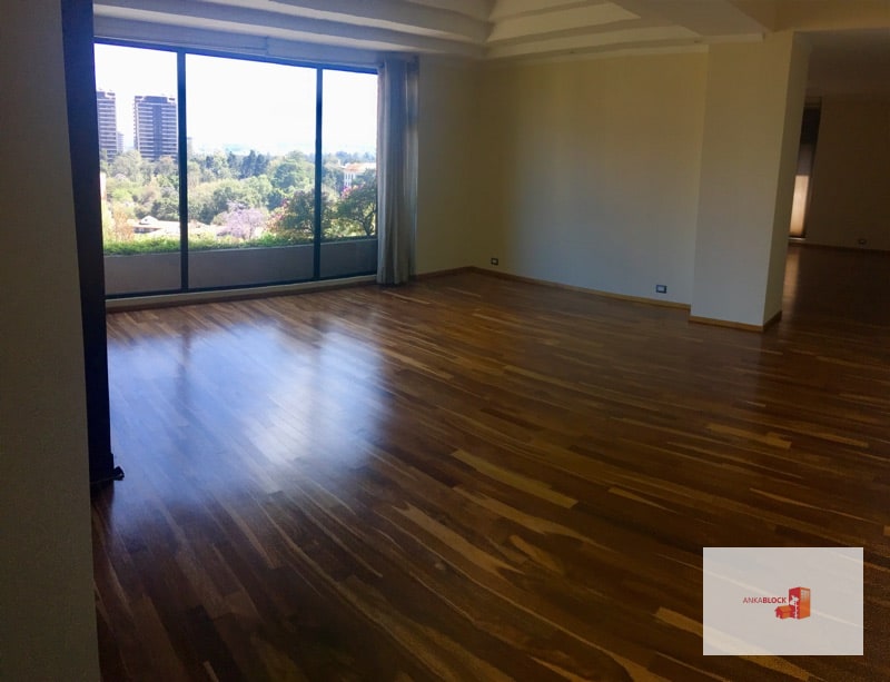 Penthouse amplio en renta - 2