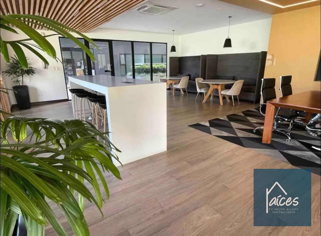 Apartamento amueblado en renta Parque 15 (D) - 15
