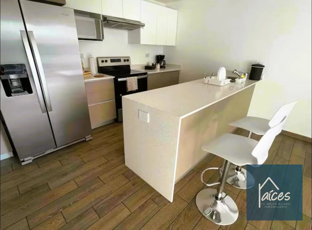 Apartamento amueblado en renta Parque 15 (D) - 13
