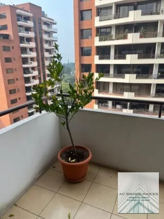 VENTA Y/O RENTA  APTO ZONA 14 2 HABITACIONES — Apartamento en Venta en Zona 14, Guatemala, Ciudad — miniatura 7 de 10