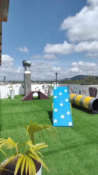 Apartamentos  en venta  Zentia - zona 2 de Mixco — Apartamento en Venta en Torre Zentia, Zona 2 Mixco, Guatemala, Ciudad — miniatura 2 de 14