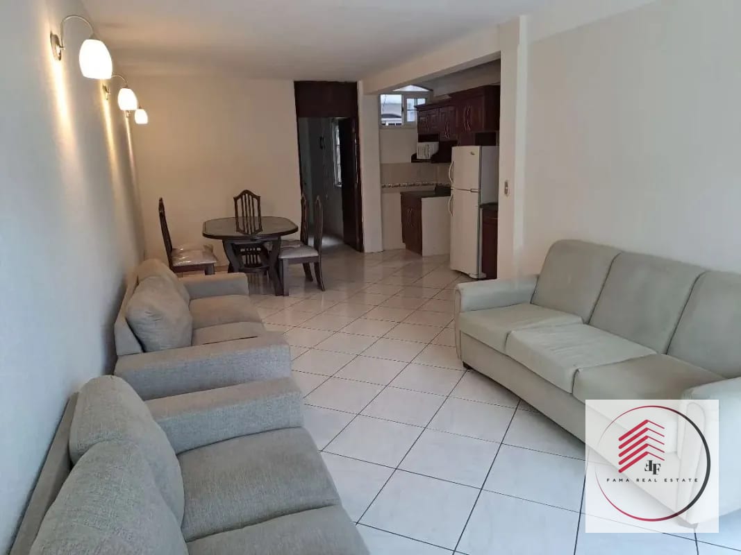 RENTA DE céntrico apartamento de una habitación en zona 10 a una cuadra de Oakland Mall diagonal 6 — Apartamento en Alquiler en Zona 10, Guatemala, Ciudad — foto 16 de 17