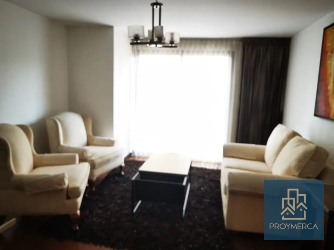 Apartamento amueblado en alquiler, Vivaldi, Zona 14 - 4