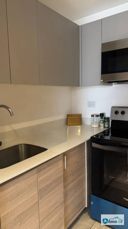 APARTAMENTO AMUEBLADO EN RENTA ZONA 10 EDIF. PARQUE 10 - 4