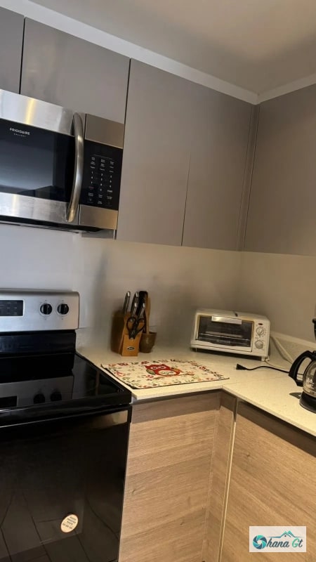 APARTAMENTO AMUEBLADO EN RENTA ZONA 10 EDIF. PARQUE 10 - 2