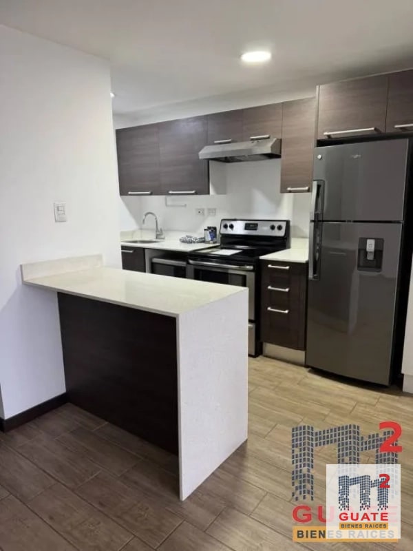 Apartamento en Renta, Zona 10 - 1