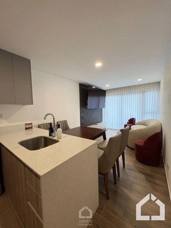Apartamento amueblado de 2 habitaciones en RENTA en Parque 14 - 13