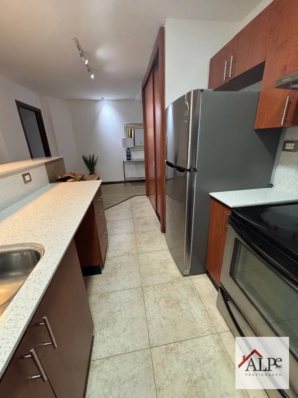APARTAMENTO AMUEBLADO CON 1 DORMITORIO - 7