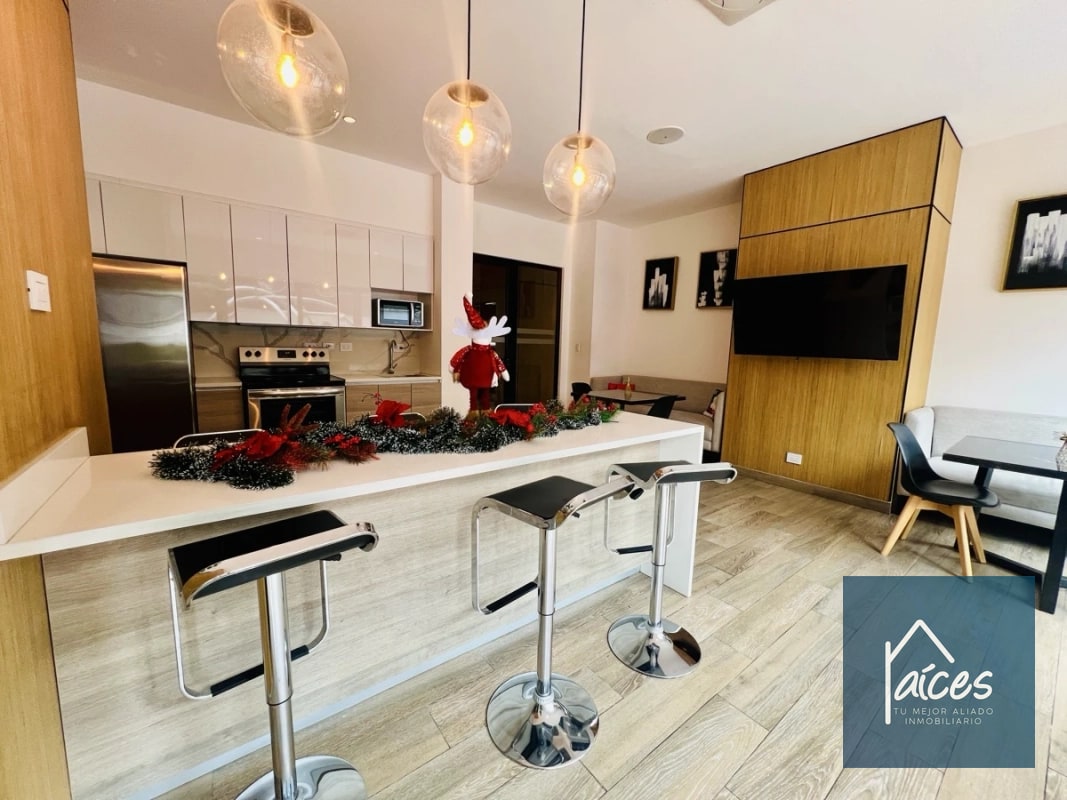 Apartamento en Renta PARQUE 10 Zona 10 (D) - 15