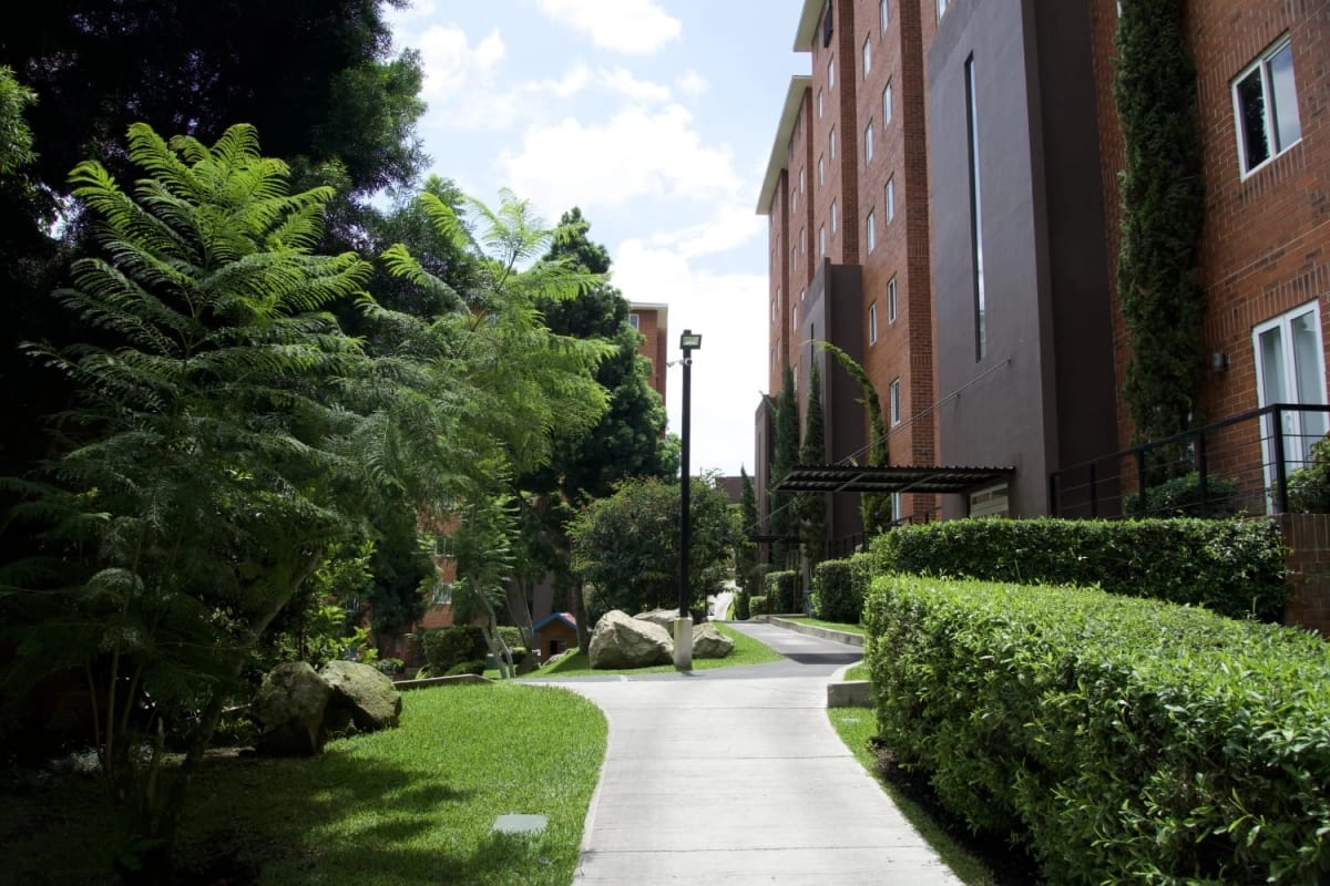 APARTAMENTO EN VENTA  HEXA CAÑADA 16 — Apartamento en Venta en Hexa Cañada 16, Zona 16, Guatemala, Ciudad — foto 3 de 12
