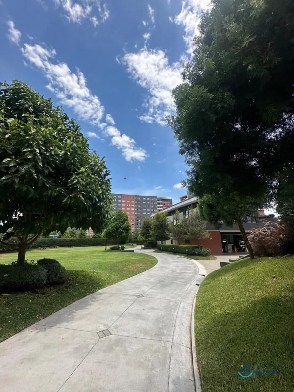 Apartamento en Renta, Zona 14-Segheria - 6