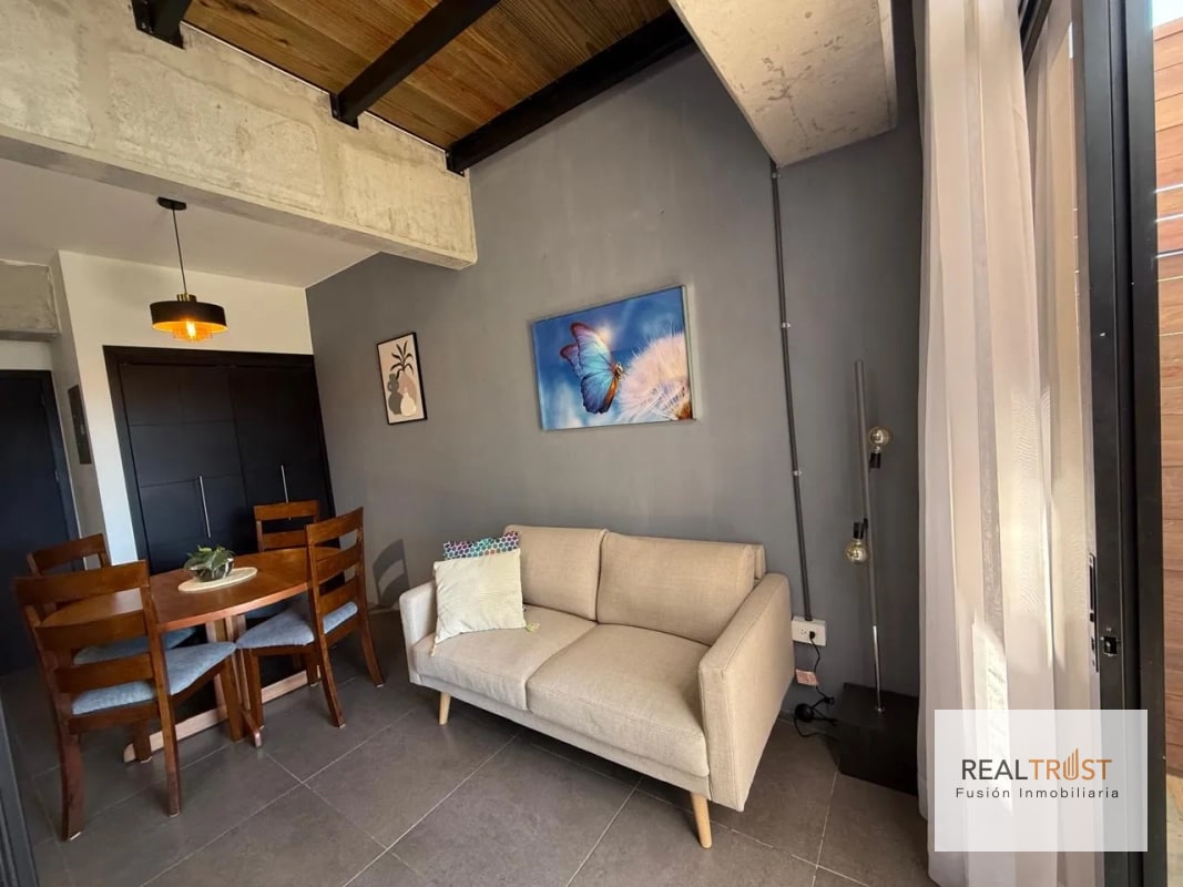 Rento apartamento tipo loft de una habitación en zona 10 - 8