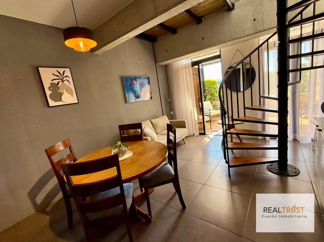 Rento apartamento tipo loft de una habitación en zona 10 - 4