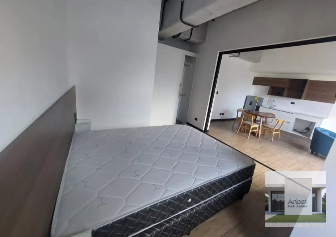 Venta Apartamentos Amueblados 1 y 2 Dormitorios Zona 10 - 4