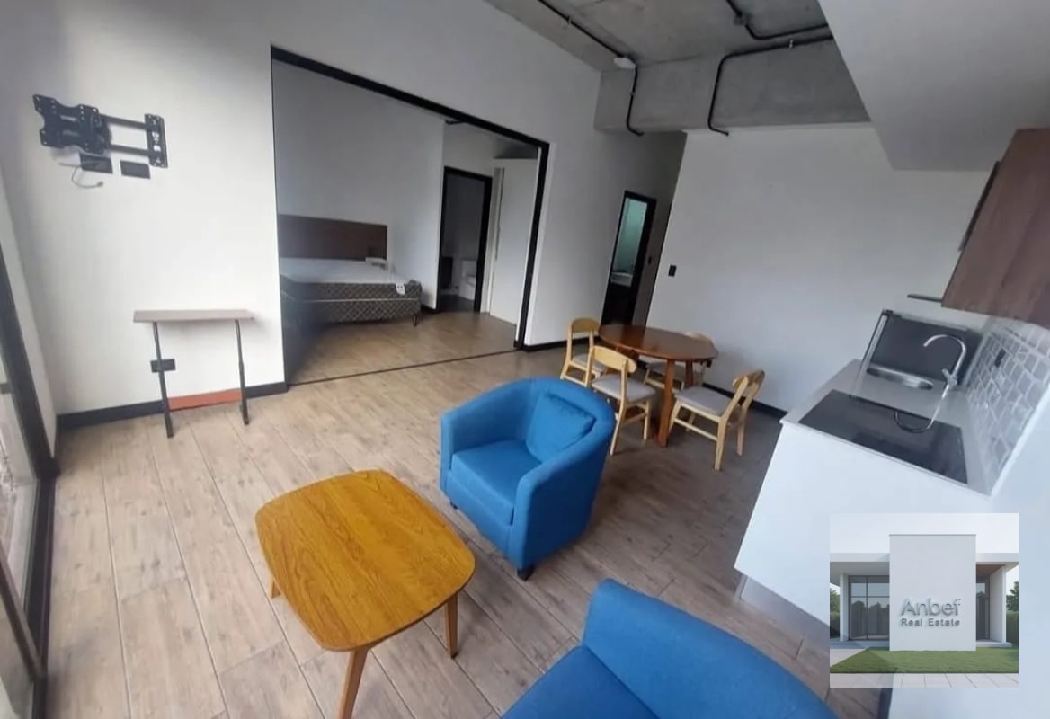 Venta Apartamentos Amueblados 1 y 2 Dormitorios Zona 10 - 2