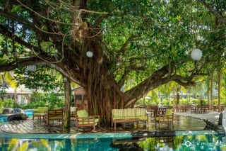 Villa en Venta Los Cabos, Monterrico — Apartamento en Venta en Monterrico, Santa Rosa — miniatura 2 de 9
