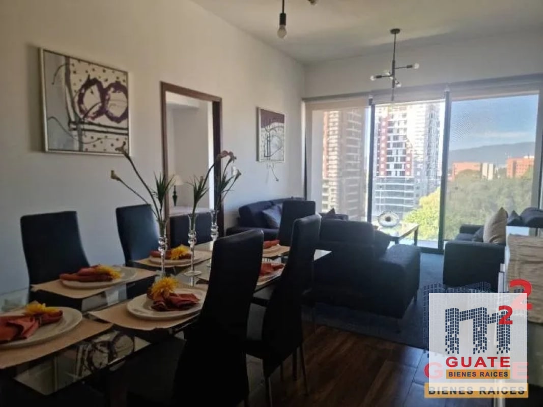 Apartamento en Renta, Zona 10 - 6